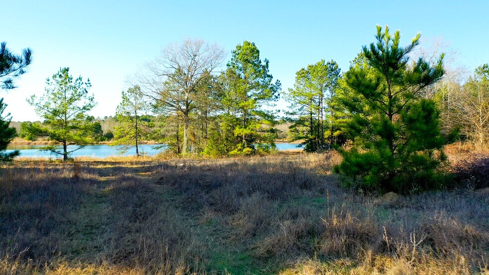 More Photos Of HWY 49 hwy, Jefferson Land For Sale