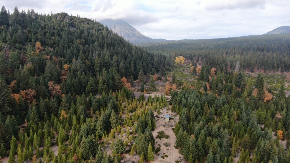 More Photos Of 210 Ski Village Dr, Mount Shasta Distribution For Sale