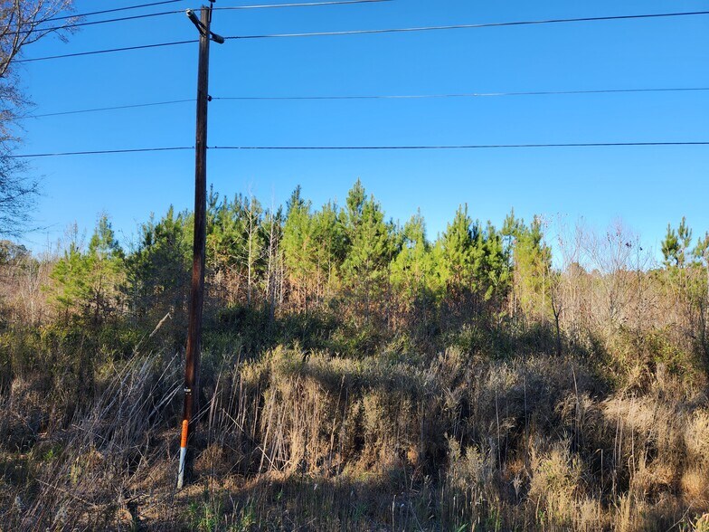 More Photos Of US 264A, Zebulon Land For Sale
