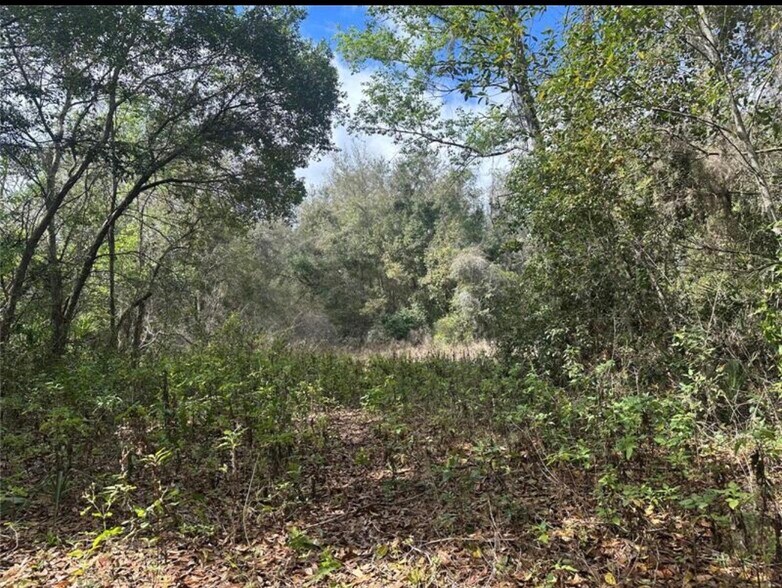 More Photos Of SOUTH LAKE HIAWATHA Dr, Lady Lake Land For Sale