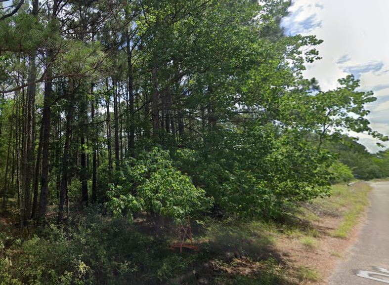 More Photos Of 4616 Artic Drive, Humble Land For Sale