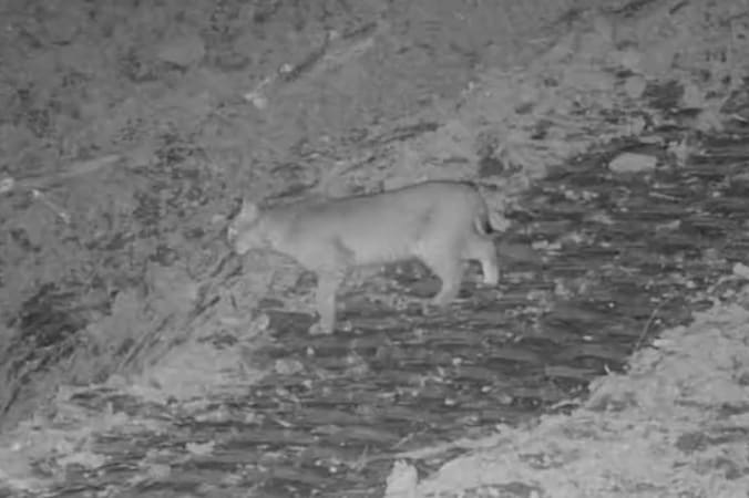 More Photos Of 799 County Road 213, Scottown Land For Sale