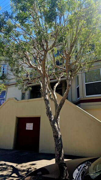 More Photos Of 351 30th St, San Francisco Apartments For Sale