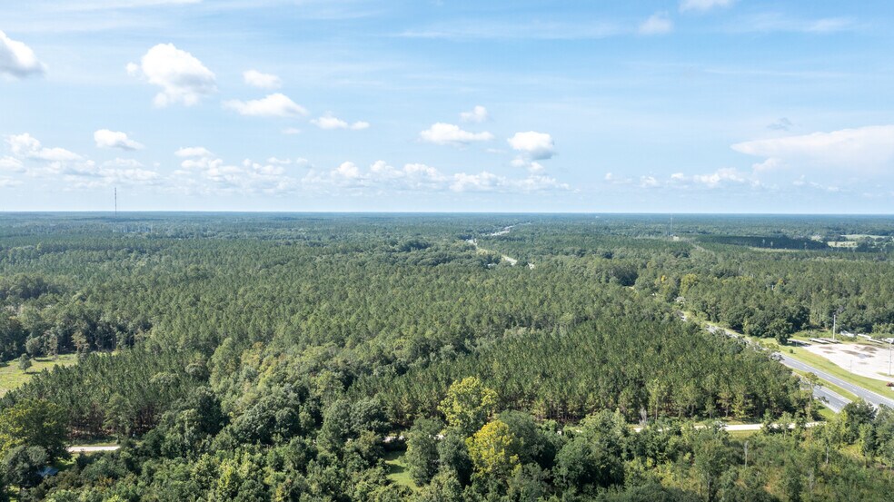 More Photos Of 0 US 301 hwy, Lawtey Land For Sale