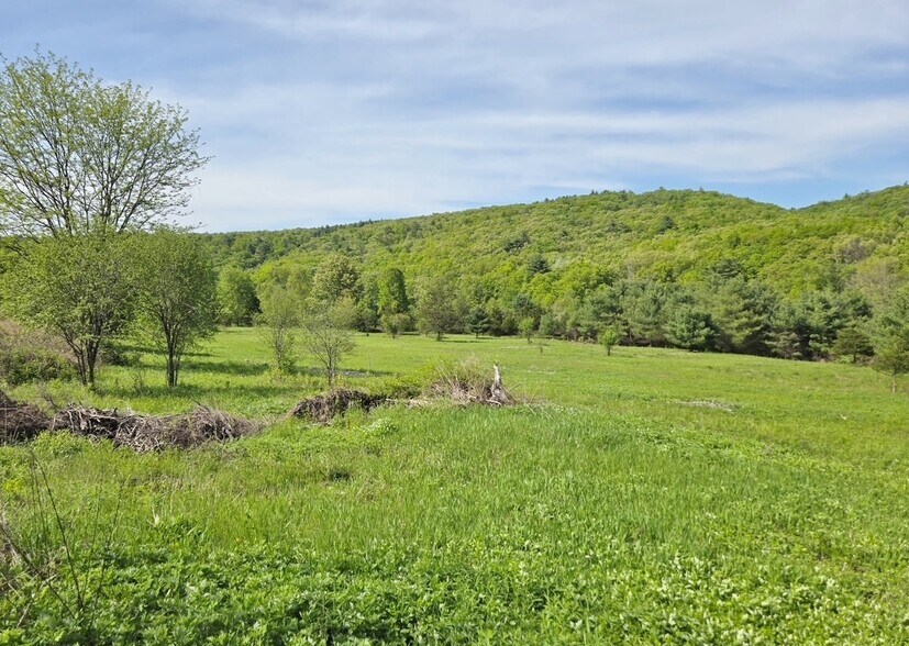More Photos Of 308 NY-28, Kingston Land For Sale