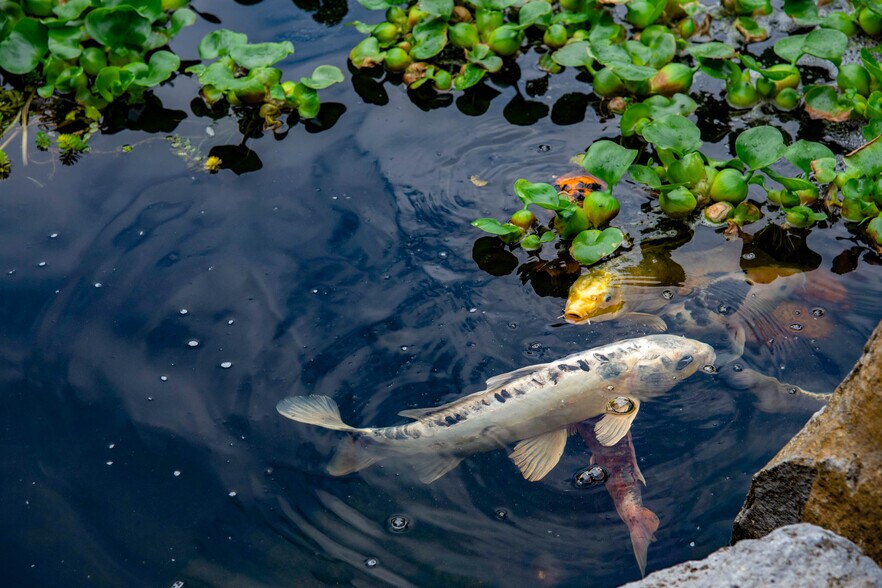 More Photos Of 3387 Tolmie Rd, Abbotsford Land For Sale
