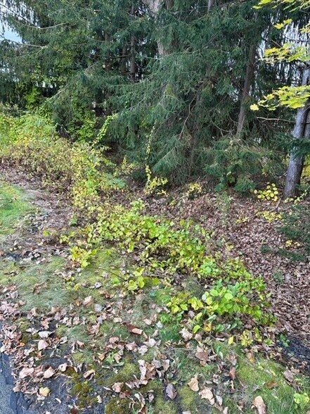 More Photos Of 385 Bay Rd, Queensbury Land For Sale