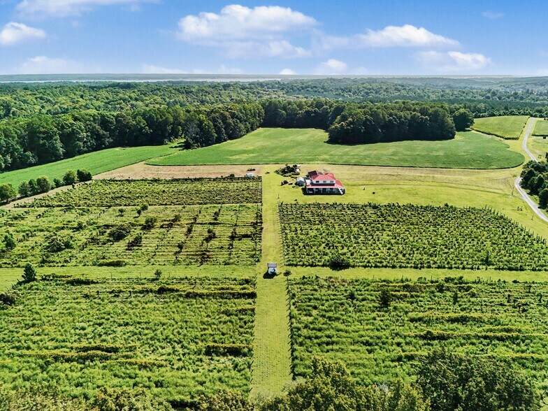 More Photos Of 495 Meadow Landing Ln, Caret Winery Vineyard For Sale