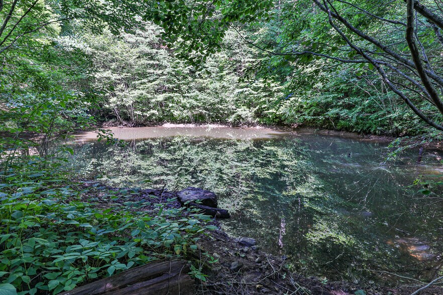 More Photos Of Mountain Cove Estates Rd, Cherry Log Land For Sale