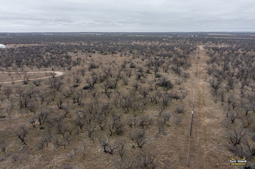 More Photos Of 10737 Interstate 20 W, Clyde Land For Sale