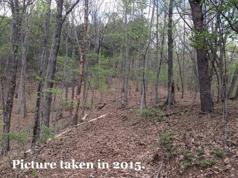 More Photos Of Pinyan, Ranger Land For Sale