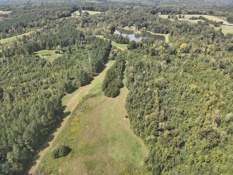More Photos Of 230 Kelly Lane, Farmville Land For Sale