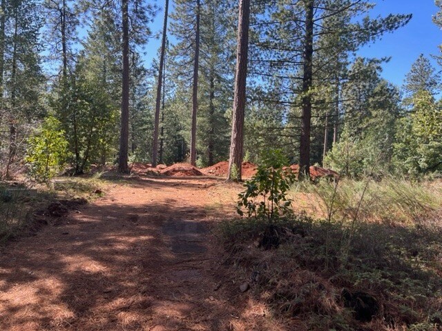 More Photos Of 10715 Brunswick Rd, Grass Valley Land For Sale