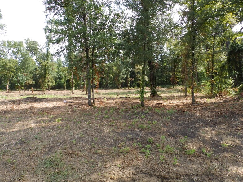 More Photos Of 16393 Highway 31, Tyler Land For Sale