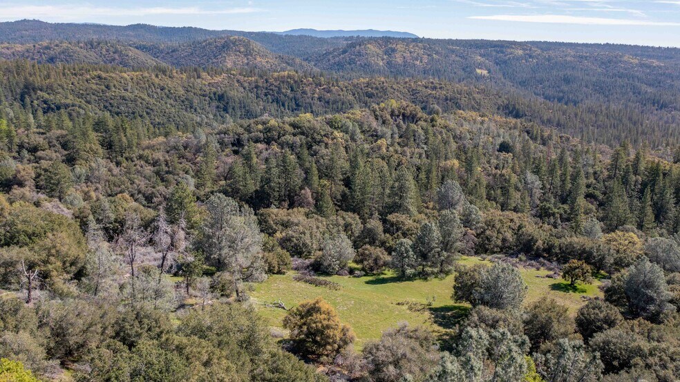 More Photos Of 18800 Charleston Rd, Volcano Land For Sale