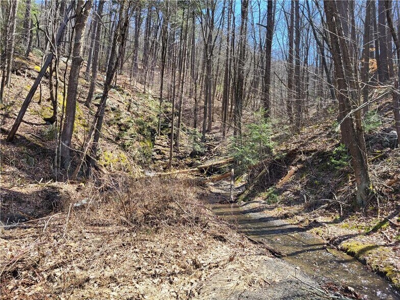 More Photos Of 8 Henry Rd, Cragsmoor Land For Sale