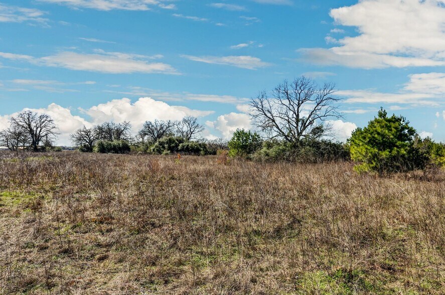 More Photos Of 0 Mack Washington Ln. Ln, Hempstead Land For Sale