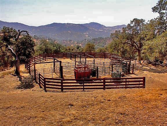 More Photos Of 38176 Cardinal, Yokuts Valley Land For Sale