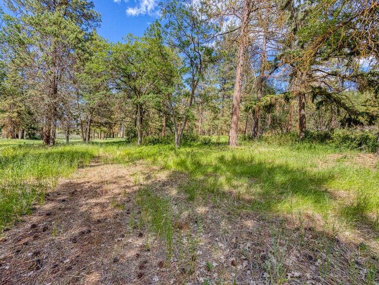 More Photos Of LP 1414 LP 1414 Highway 140 Hwy, Klamath Falls Land For Sale
