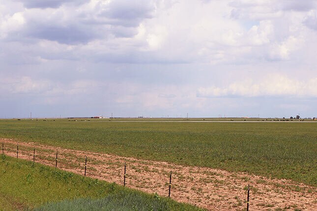 More Photos Of 807 County Road 515, Dimmitt Land For Sale