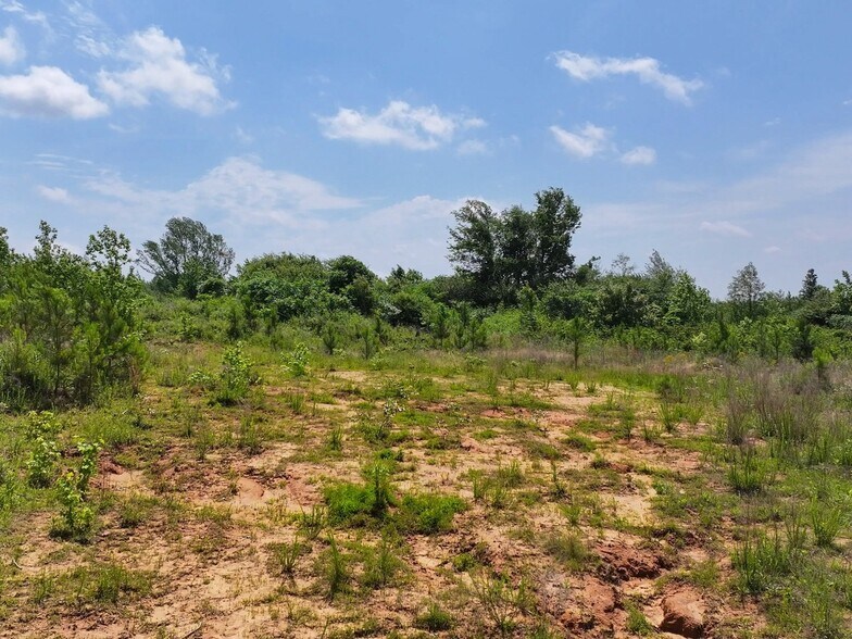 More Photos Of 0 State Route 22a, Enville Land For Sale