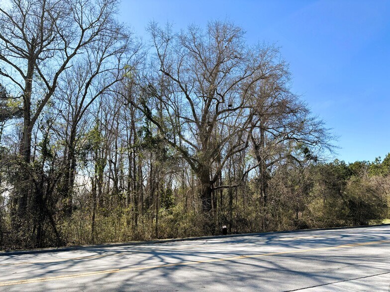 Primary Photo Of Main Street, Maysville Land For Sale