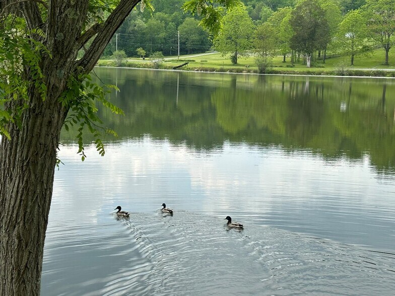 More Photos Of 14224 Mud Fork, Falls Mills Land For Sale