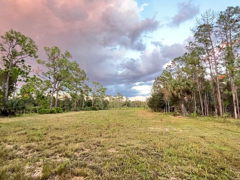 More Photos Of 17800 Grand Chenier Rd, Fort Myers Land For Sale