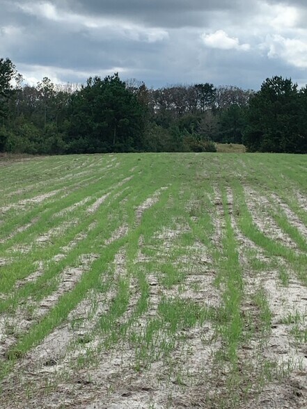 More Photos Of Redlands Dr, Deland Land For Sale