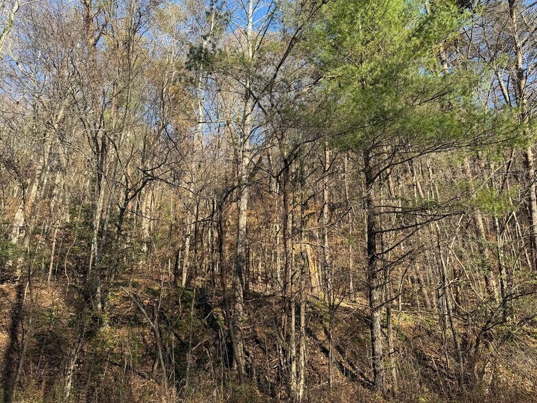 More Photos Of Whitepath Rd, Ellijay Land For Sale