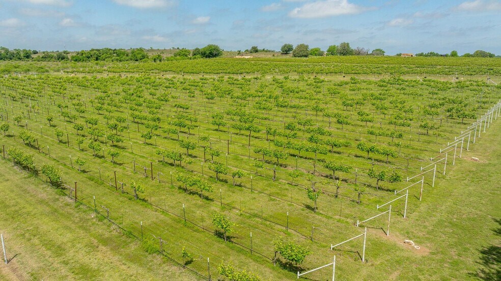 More Photos Of 675 County Road 497, Dublin Winery Vineyard For Sale