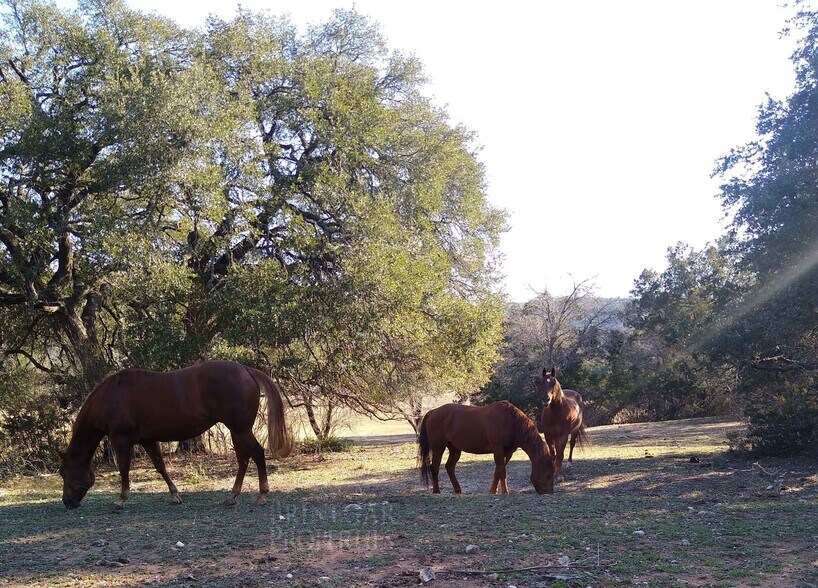 Ranch to Market 1431, Jonestown, TX 78645 Land For Sale