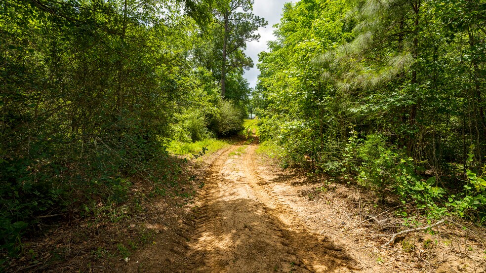 More Photos Of 000 Farm to Market Road 1488, Magnolia Land For Sale