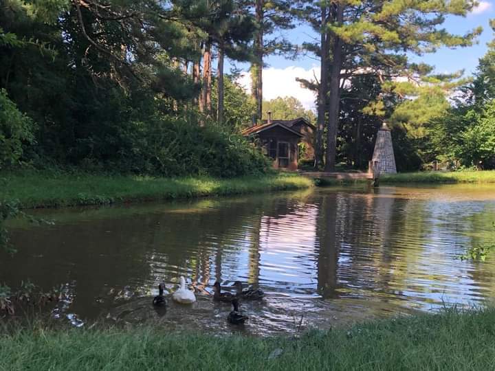 More Photos Of 46 Grove Chapel Church Rd, Winterville Specialty For Lease