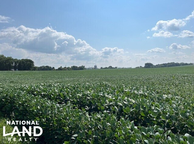 More Photos Of 820 Johnson Ave SW, Cokato Land For Sale