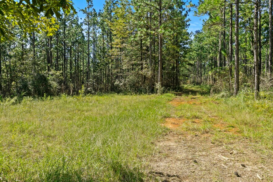 More Photos Of 0 Nokomis Road, Walnut Hill Land For Sale