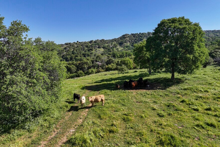More Photos Of Dry Creek Drive, Badger Land For Sale