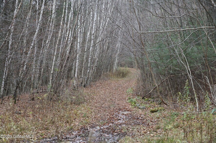 More Photos Of Mt Eden Estates Rd, Lexington Land For Sale