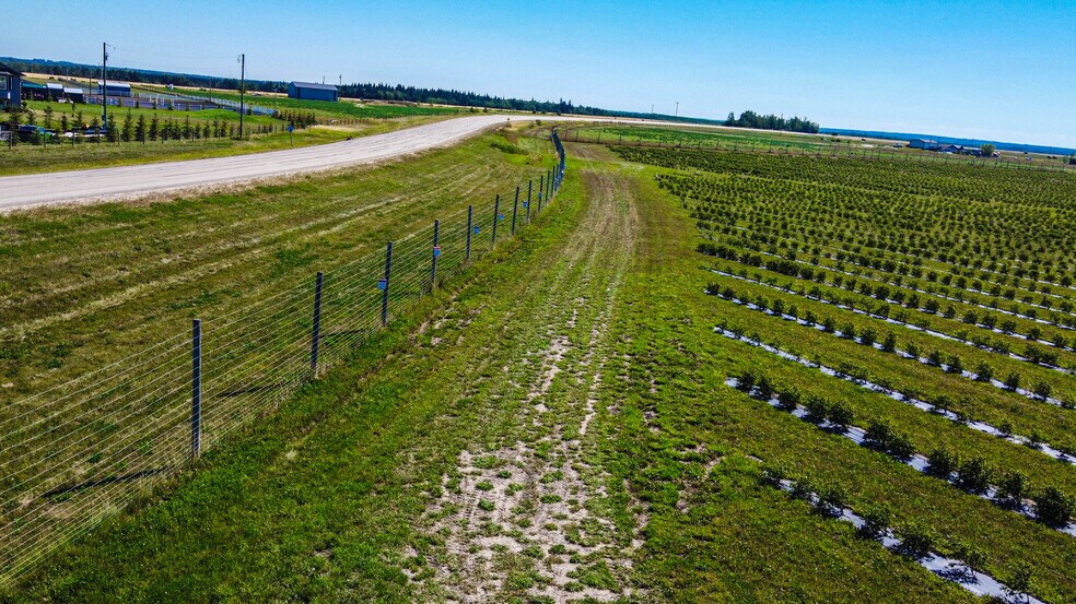 More Photos Of 705068 82 -1, Wembley General Retail For Sale