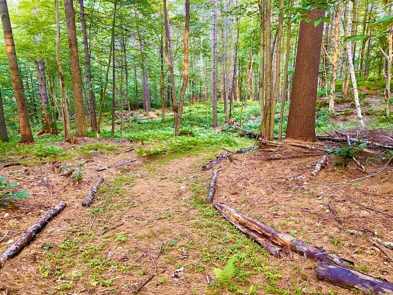 More Photos Of 89 Houston Farm Rd, Stowe Hotel For Sale