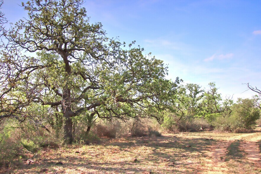 More Photos Of FM 574, Goldthwaite Land For Sale