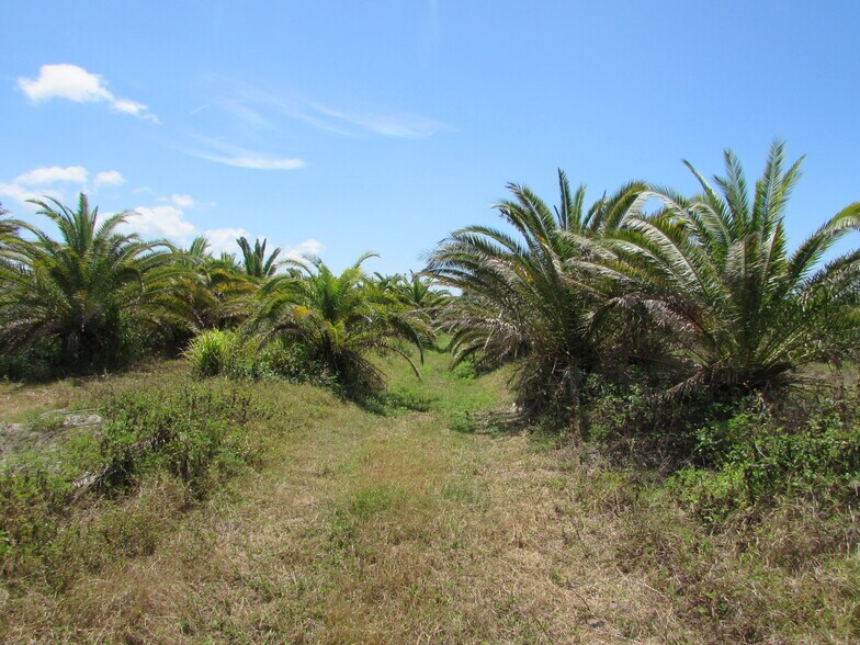 More Photos Of H. Stringfellow, Bokeelia Land For Sale