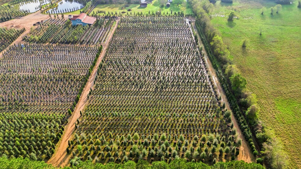 More Photos Of 28287 Hegar Rd, Hockley Land For Sale