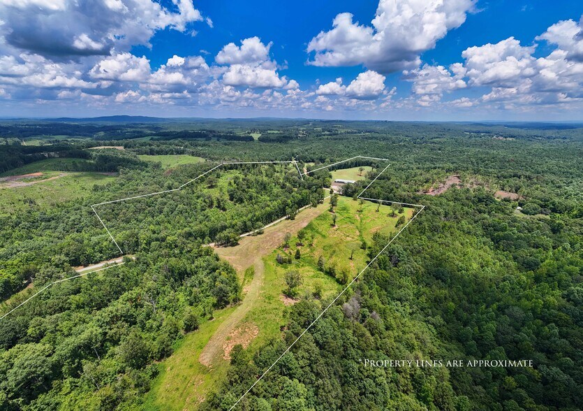 More Photos Of 1310 County Road 269, Wedowee Land For Sale
