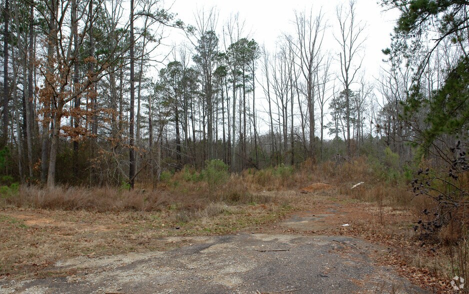 More Photos Of 9816 Holly Springs Rd, Apex Land For Sale