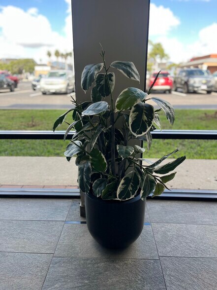 More Photos Of 5702 S Staples, Corpus Christi Unknown For Lease