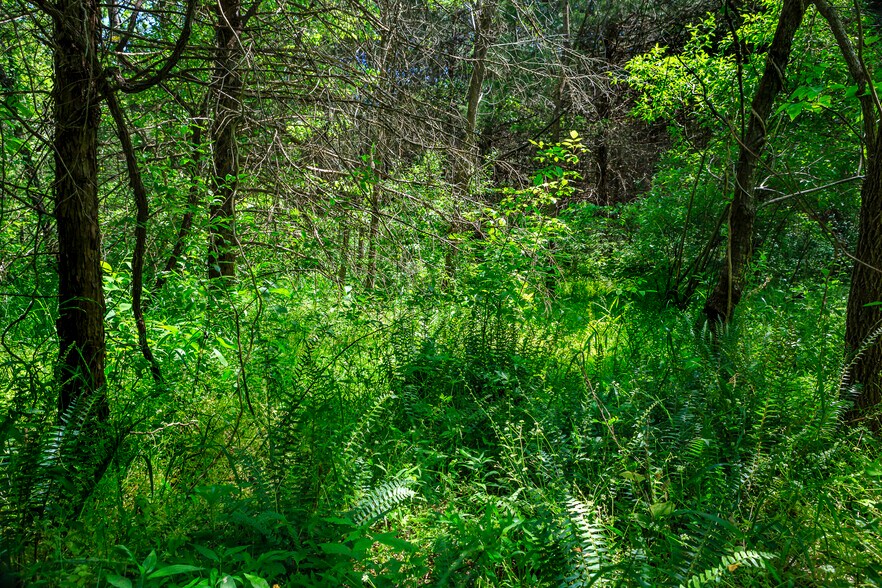 More Photos Of 1245 Carpenters Mill Rd, Ruckersville Land For Sale