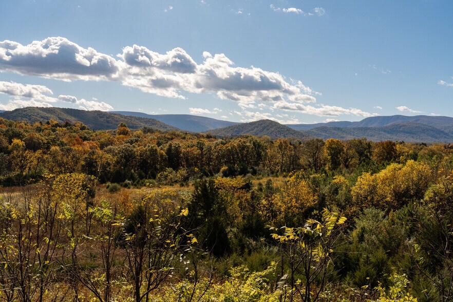 More Photos Of 461 Thunderbird Rd, Bentonville Land For Sale