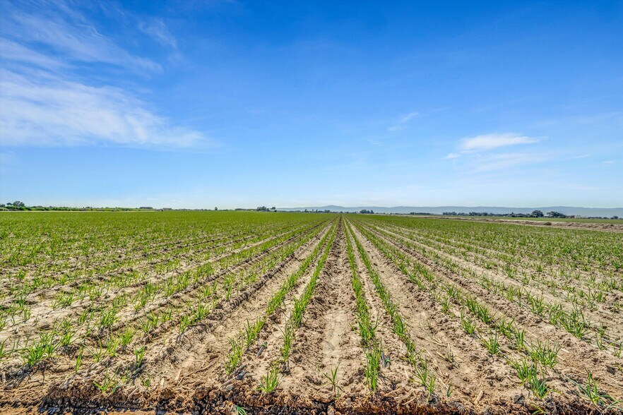 More Photos Of 6450 Delta Ave, Tracy Land For Sale