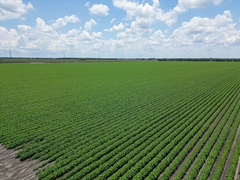 More Photos Of Pleak Road & FM 2977, Richmond Land For Sale